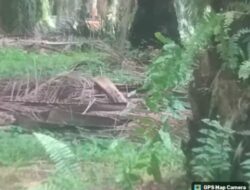 Diduga Ilegal, Galian C di Bandar Petalangan Ancam Lingkungan dan Infrastruktur