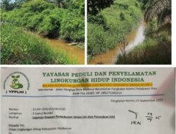 YPPLHI Laporkan Dugaan Perkebunan Ilegal dan Perusakan DAS di Kecamatan Pangkalan Kerinci