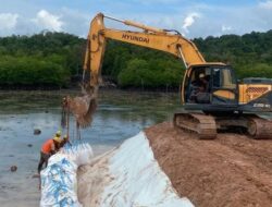Prof Sutan Nasomal Desak Presiden Prabowo Perintahkan Penertiban Tambang Bauksit di Dabo Singkep