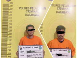 2 Orang Pengedar Natkoba berhasil diringkus Opsnal Sat Narkoba Polres Pelalawan