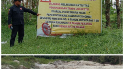 Ketua FPII Bakal menyurati Kejati Riau Dan Kapolda Riau terkait Pembiaran Aset Daerah Yang di Jarah Oleh Pelaku PETI. Kadisbunak Kuansing Selama Ini tutup Mata?