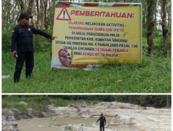 Ketua FPII Bakal menyurati Kejati Riau Dan Kapolda Riau terkait Pembiaran Aset Daerah Yang di Jarah Oleh Pelaku PETI. Kadisbunak Kuansing Selama Ini tutup Mata?