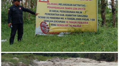 Ketua FPII Bakal menyurati Kejati Riau Dan Kapolda Riau terkait Pembiaran Aset Daerah Yang di Jarah Oleh Pelaku PETI. Kadisbunak Kuansing Selama Ini tutup Mata?