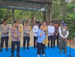 Wujudkan Atensi Presiden, Kapolri dan Ketua Komisi IV DPR Tinjau Pemulihan Habitat Gajah di Taman Nasional Tesso Nilo