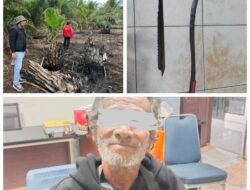 Polres Pelalawan Ringkus Pelaku Karhutla, Penegakan Hukum Diperketat