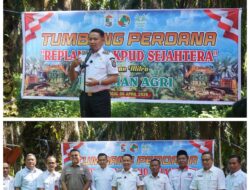 Wakil Bupati Pelalawan Husni Tamrin Hadiri Syukuran Replanting Perdana KPUD Sejahtera SP 6 Desa Makmur