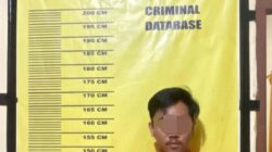 Curi 25 Tandan Sawit, Pria di Pelalawan Diamankan Warga, Dua Pelaku Lain Buron