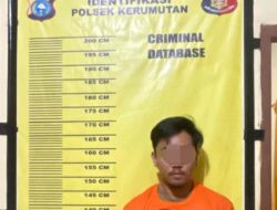 Curi 25 Tandan Sawit, Pria di Pelalawan Diamankan Warga, Dua Pelaku Lain Buron