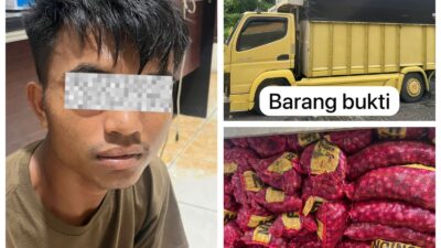 Satreskrim Pelalawan Ungkap Pengangkutan Bawang Merah Tanpa Dokumen Resmi