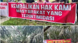 Konflik Lahan Memanas, Masyarakat Gondai Tuding PT PSJ Kuasai Tanah Turun-Temurun
