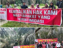 Konflik Lahan Memanas, Masyarakat Gondai Tuding PT PSJ Kuasai Tanah Turun-Temurun