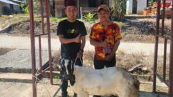 PT. Wahana Inti Sawit Salurkan Hewan Qurban ke Tiga Masjid di Kecamatan Langgam
