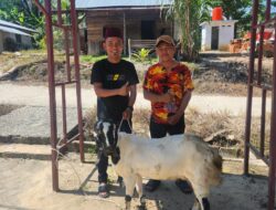 PT. Wahana Inti Sawit Salurkan Hewan Qurban ke Tiga Masjid di Kecamatan Langgam