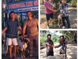 Sambut Idul Adha 1447 H, CV Anugerah AR Maulana Salurkan Hewan Kurban untuk Masyarakat dan Polres Pelalawan