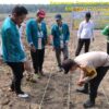 Polsek Pangkalan Kuras Dampingi KUD Sawit Harapan Jaya Tanam Jagung 3 Hektar Program Ketahanan Pangan