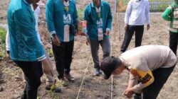 Polsek Pangkalan Kuras Dampingi KUD Sawit Harapan Jaya Tanam Jagung 3 Hektar Program Ketahanan Pangan