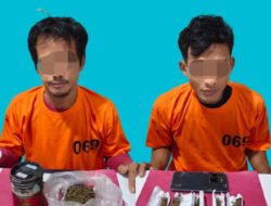 Polres Pelalawan Berhasil Amankan Warga Akan Edarkan Ganja di Desa Mulya Jaya